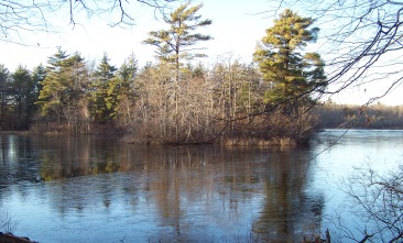 early winter island shot at ames nowell