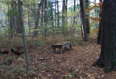 one of several benches at eel river woods in hingham