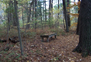 one of several benches at eel river woods in hingham
