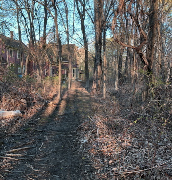 trail runs up behind the estate