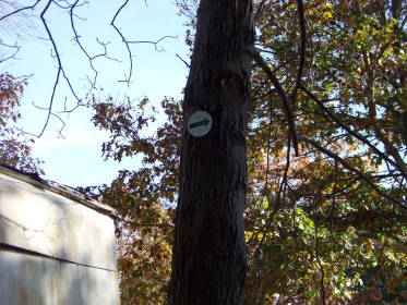 green arrow navigation on hiking trails in Hanover