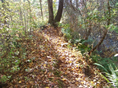 narrow trail along ridge above Drinkwater River