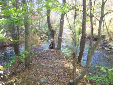 fireworks trail takes a left at a river junction