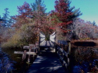 bridge over factory pond on fireworks trail