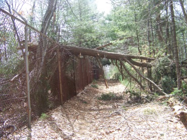 downed tree over fireworks trail