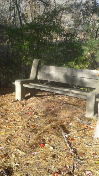 seating along the flaherty trail in whitman