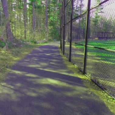 A walking trail behind softball fields at Forge Pond Park.