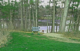 Forge Pond Park Boat Launch
