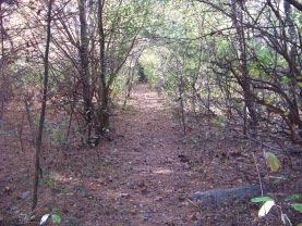 narrow portion of french's stream trai narrow portion of french's stream trai