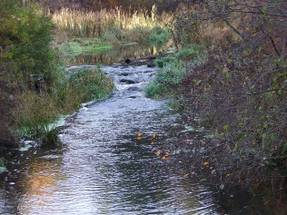 upstream from the bridge over french's stream