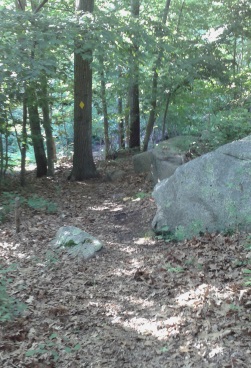 Hiking trail leads through area with many boulders.