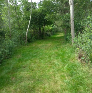 Wide easy hiking trails on Grape Island