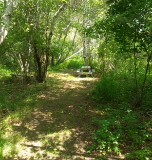 Grape Island Camping