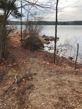 shoreline of Great Pond