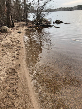 beach along the trail