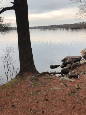 water view from shore