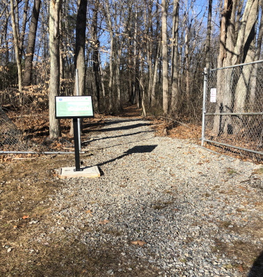 Great Pond Trailhead