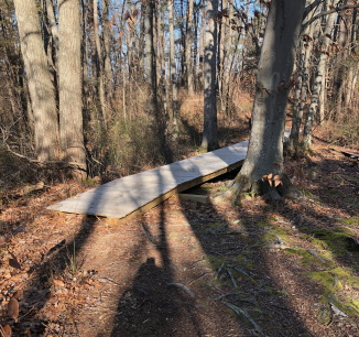 Great Pond Trail Boardwalk