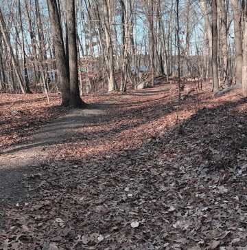 water comes into view on the trail