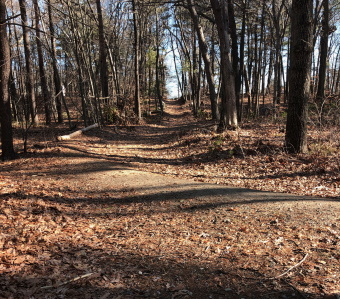 wide sweeping trail to left