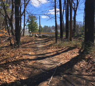 Trail leads into Negus Park