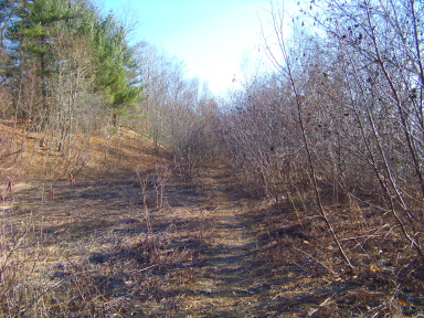 Lower trail along water's edge