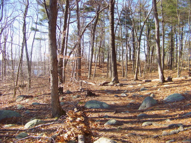 Trail runs through glacial till