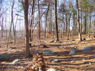 Trail runs through glacial till