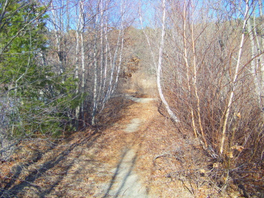 Sandy lower trail