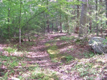 trail leading into private property at Hatch Lots Conservation Area