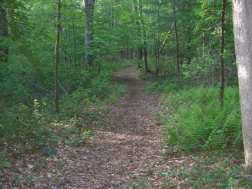 hiking trail through hatch lots in norwell