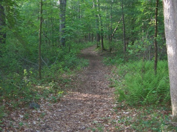 hiking trail through hatch lots in norwell