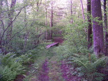 first bridge on hatch lots trail