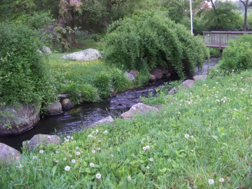 herring run in Pembroke