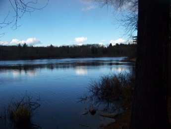 Early evening at Ames Nowell State Park