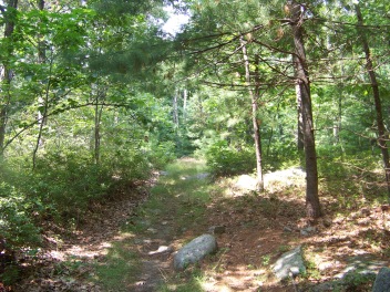 rustic trails of holbrook town forest