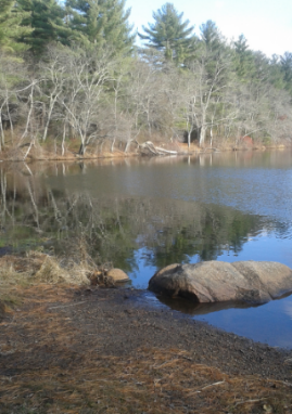scenic spot along luddams ford trail
