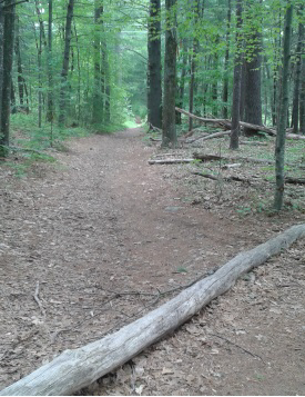 wide indian head trail in hanover