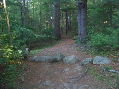 Wes Osborne Trail in jacobs pond conservation area