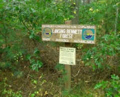 Lansing Bennett Forest trail sign