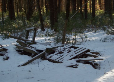 wood dumped on conservation land
