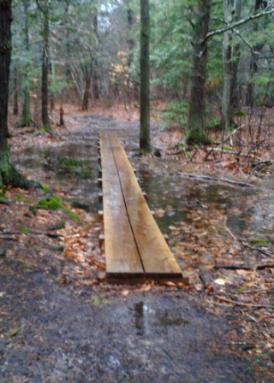 planks of wet area at melzar hatch reservation