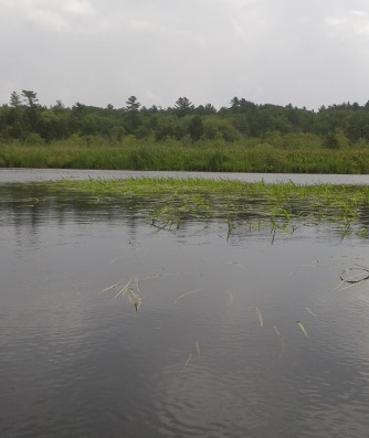 junction of Indian Head River and Herring Brook where it becomes the North River junction of Indian Head River and Herring Brook where it becomes the North River