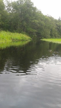 A paddle down Herring Brook A paddle down Herring Brook