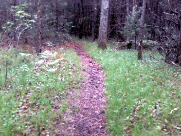 hiking on the south shore