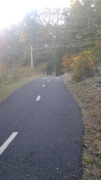 pathway winds its way thru a utility line