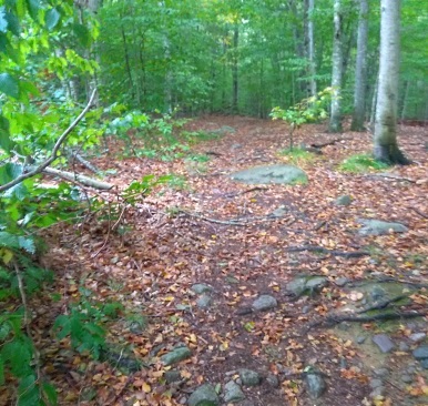 Rocky hiking trail soon smooths out. Rocky hiking trail soon smooths out.