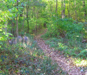 The multi use hiking trail at the South Pleasant St entrance of Wompatuck State Park.