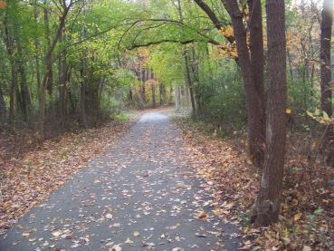 paved trail at pond meadow park