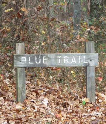 blue trail at pond meadow park